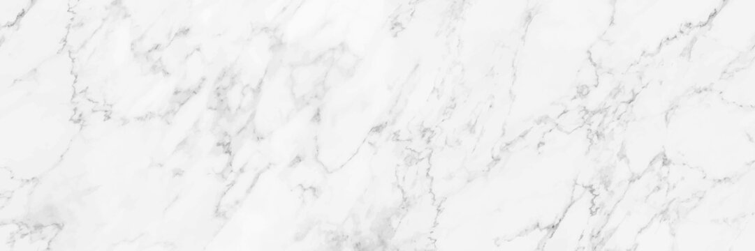 horizontal elegant white marble texture background,vector illustration © eNJoy Istyle