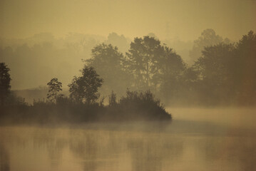 Fog over a lake