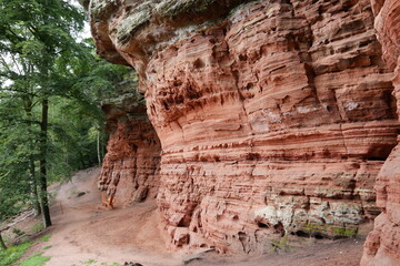 Obraz premium Altschlossfelsen im Pfälzerwald