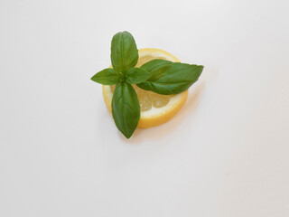 Frisches Basilikum auf einer Zitronenscheibe auf weissem Hintergrund mit Platz für Text