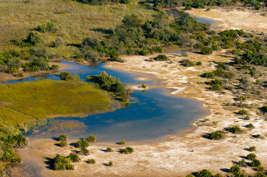 Aerial view of a delta, Okavango Delta, Botswana