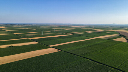 Bird's eye view of abstraction agricultural area and green wavy fields in sunny day.