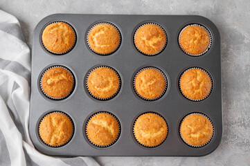 Fresh baked Vanilla cupcakes with mint, selective focus, copy space.