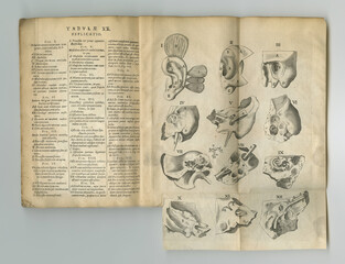 Fototapeta na wymiar Classic medical journal. An old medical book with its pages on display.