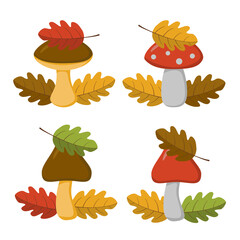 A set of brown and red mushrooms (boletus, fly agaric) with leaves in a flat style. Vector image.
