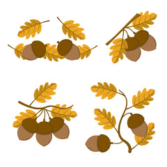 a set of acorns on a branch with yellow leaves in a flat style. Vector image.