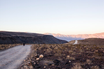 Motorcyclist drives down desert road at sunset