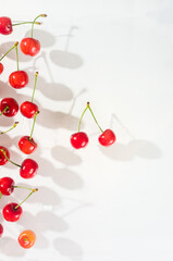Naklejka na ściany i meble Fresh summer dark red sweet cherry