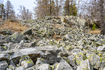South Ural kurumnik, stones, cobblestones, moss with a unique landscape, vegetation and diversity of nature.