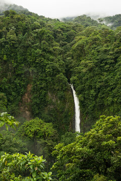 Waterfall pouring over jungle cliffs