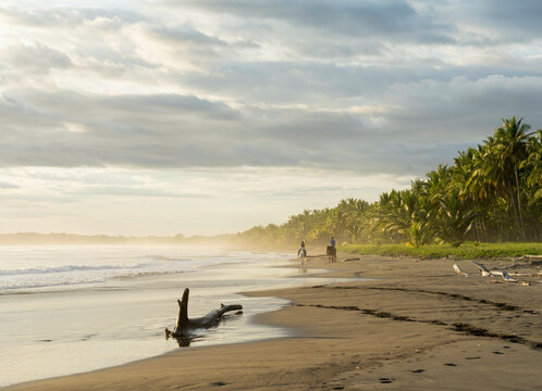 Couple riding horseback on tropical beach