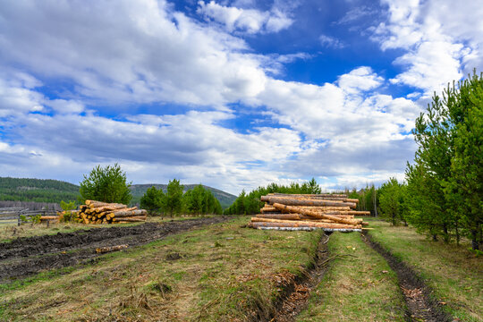Tree logs, wood mining and a country road.