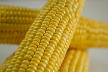 Milho verde recém colhidas em fotos de estudio