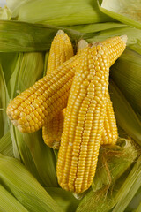 Milho verde recém colhidas em fotos de estudio