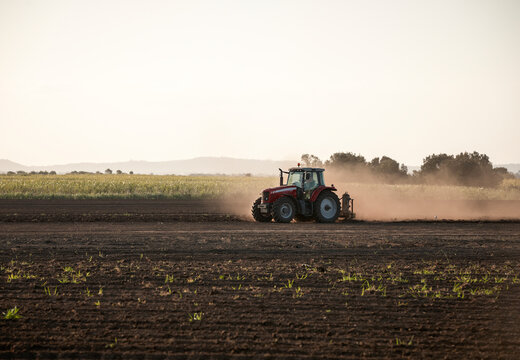 Tractor harrowing field ready for seed planting