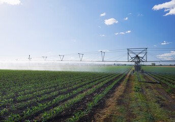 Overhead irrigation passing over young green crop 