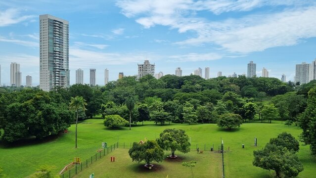 Parque Omar con edificios al fondo en V&iacute;a Porras, Panama.
