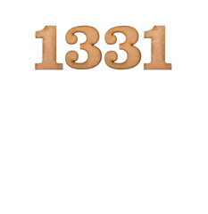 Number 1331 - Piece of wood isolated on white background