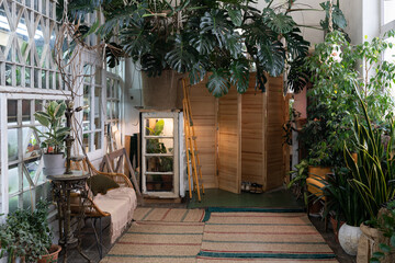 Cozy eco-home with indoor greenhouse, room with rattan chair, jute carpets on floor and giant...