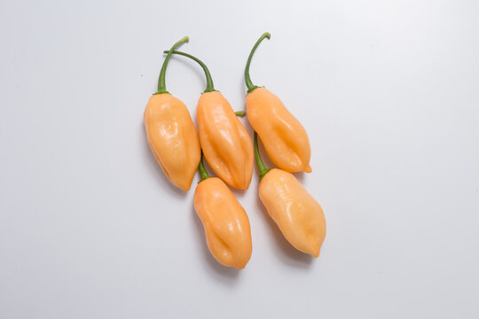 Pimenta de cheiro do norte sobre fundo branco