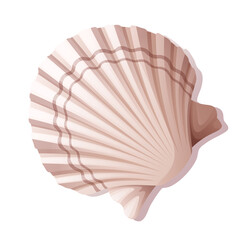 Seashell on a white background. Mollusk vector illustration.Beach,sea illustration. Suitable for decor, stickers, prints.