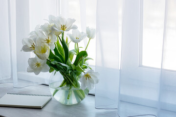 White tulips in a glass vase on a table near a window with a curtain