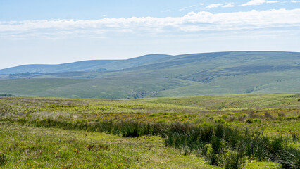 Obraz premium Exmoor