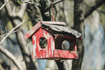 A small birdhouse in spring. Bird feeders in the city park. A red cracked wooden birdhouse for feeding birds with a round entrance. Bird Feeder. Bird house on a tree.	