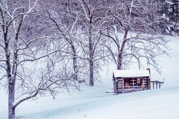 snow covered shed
