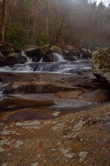 stream in the forest
