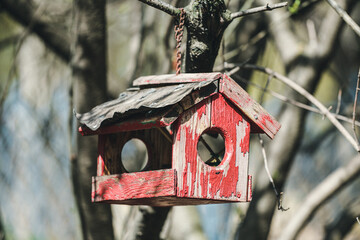 A small birdhouse in spring. Bird feeders in the city park. A red cracked wooden birdhouse for feeding birds with a round entrance. Bird Feeder. Bird house on a tree.	