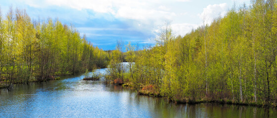 Fototapeta na wymiar Peaceful panoramic view on forest river, dramatic sky. Scenic view of a river landscape in early spring