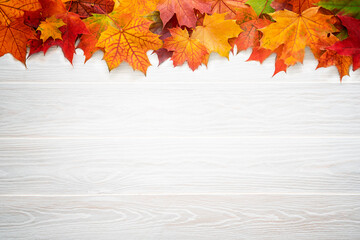 Naklejka na ściany i meble Bright colored autumn leaves on white textured wooden background. Top table view on multi-colored bright maple leaves on a white wooden background. Autumn background with copy space