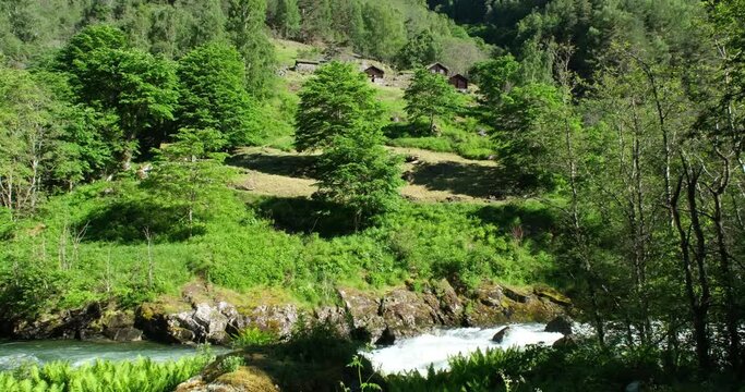 Wonderful landscapes in Norway. Vestland. Beautiful scenery of old road Vindhellavegen in Borgund. Forest, rocks and trees in a sunny summer day. 4K UHD 59,94fps ProRes 422 HQ 10 bit