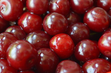 A pile of freshly picked sour cherries