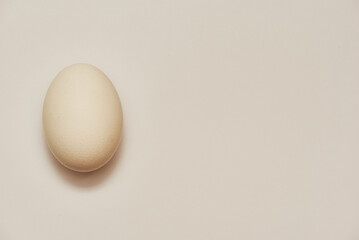 A close-up image of a white egg on a white background, a shadow near the egg. Place for inscription
