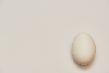 Fototapeta na wymiar A close-up image of a white egg on a white background, a shadow near the egg. Place for inscription