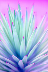 Nature poster. Palm tree (purple and green)