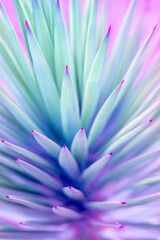 Nature poster. Palm tree (purple and green) - 512211416