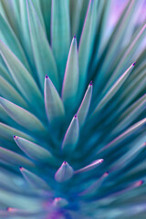 Nature poster. Palm tree (purple and green)