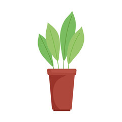 houseplant in red pot