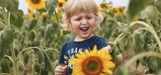 Cute little boy walking in field of blooming sunflowers. Child playing with big flower and having fun. Kid exploring nature. Summer activity for children, banner of local travel, summertime vacation.