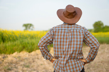 Back view of farmer wears hat and plaid shirt, hands on hips, stands at garden. Concept :...