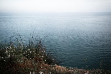 lake in the morning