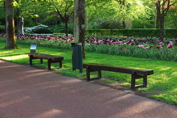 Park with variety of beautiful flowers, trees and wooden benches on sunny day. Spring season