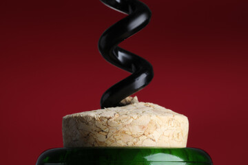 Opening bottle of wine with corkscrew on burgundy background, closeup