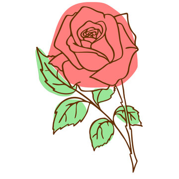 contour image of a red rose on a white background, drawing, color graphics, design