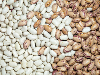 White and variegated beans are mixed. Beans of different varieties. Beautiful grains. Dietary protein food.