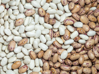 White and variegated beans are mixed. Beans of different varieties. Beautiful grains. Dietary protein food.