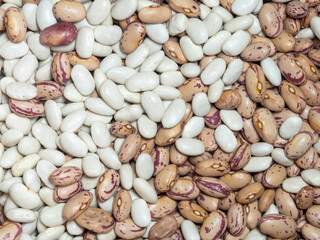 White and variegated beans are mixed. Beans of different varieties. Beautiful grains. Dietary protein food.